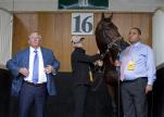 Team Orb in the paddock